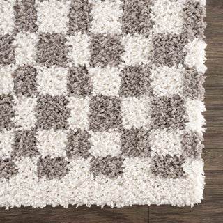 Kieu Taupe Checkered Plush Area Rug | Flatiron Home - Flatiron - Home