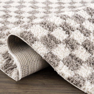 Kieu Taupe Checkered Plush Area Rug | Flatiron Home - Flatiron - Home