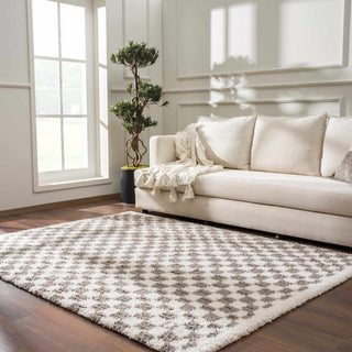 Kieu Taupe Checkered Plush Area Rug | Flatiron Home - Flatiron - Home