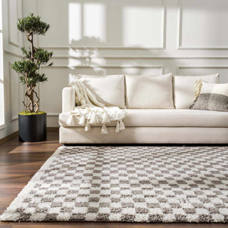 Kieu Taupe Checkered Plush Area Rug | Flatiron Home - Flatiron - Home