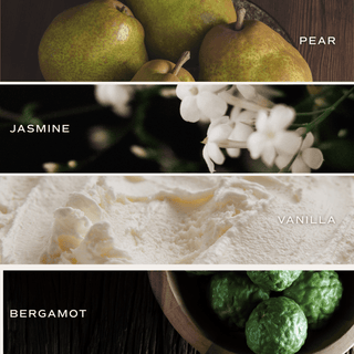 Forever and Always Soy Candle - 15oz Premium Hand - Poured | Cashmere Vanilla Romance Scent - Flatiron - Home