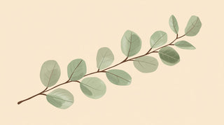 Botanical Serenity Art Collection - 5 Printable Wall Art Designs