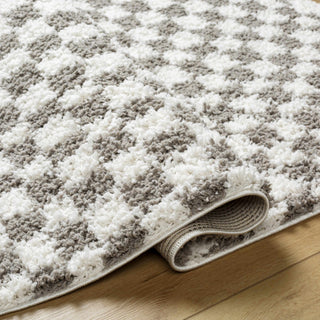 Kieu Taupe Checkered Plush Area Rug | Flatiron Home - Flatiron - Home