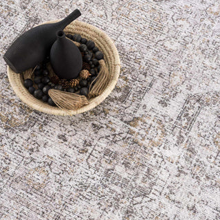 Washable Parkerfield Area Rug - Flatiron - Home
