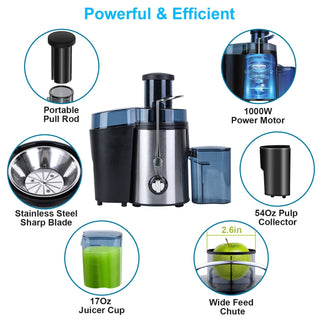 Centrifugal Juicer | 1000W Wide-Feed Juice Extractor | Flatiron Home Kitchen
