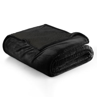 Velvet Plush Sherpa Bed Blanket - Sherpa Fleece Collection - Flatiron-Home
