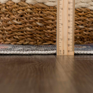 Rosman Distressed Washable Area Rug - Flatiron - Home